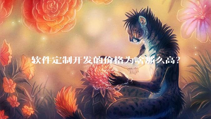 软件定制开发的价格为啥那么高？