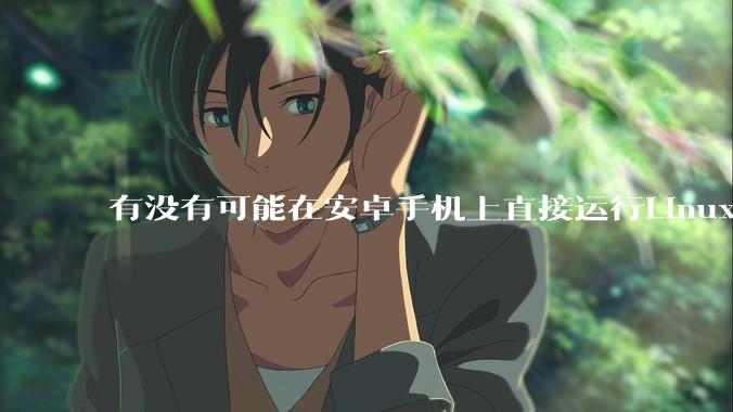 有没有可能在安卓手机上直接运行Linux？