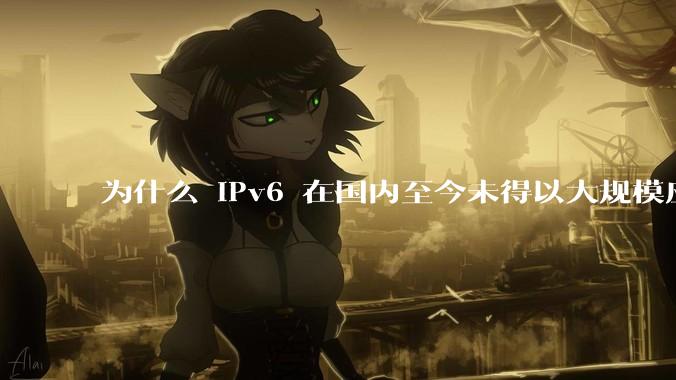 为什么 IPv6 在国内至今未得以大规模应用?