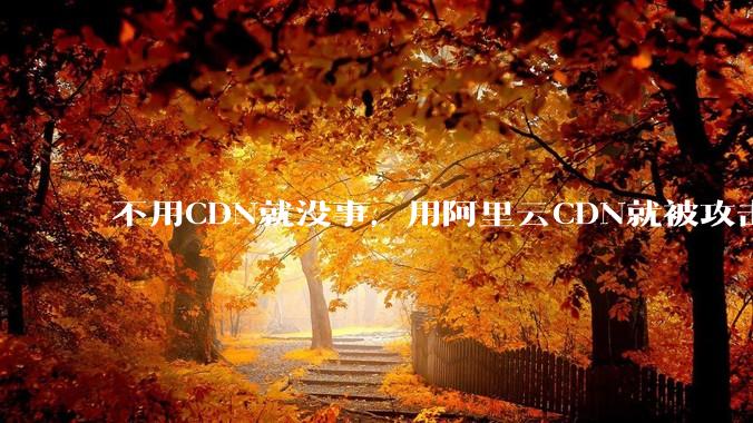 不用CDN就没事，用阿里云CDN就被攻击刷流量，阿里云表示证明不了就要用户买单，如何看到这种行为？