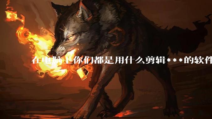 在电脑上你们都是用什么剪辑***的软件啊？