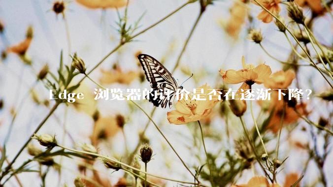 Edge 浏览器的评价是否在逐渐下降？