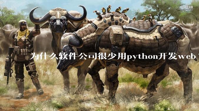 为什么软件公司很少用python开发web?
