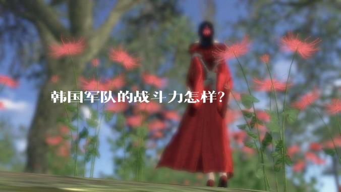 韩国军队的战斗力怎样？