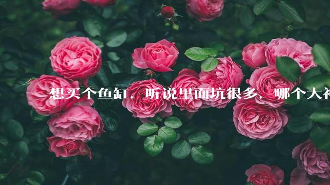 想买个鱼缸，听说里面坑很多，哪个大神给讲解一下呀？
